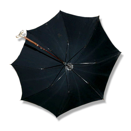 Le parapluie pliant