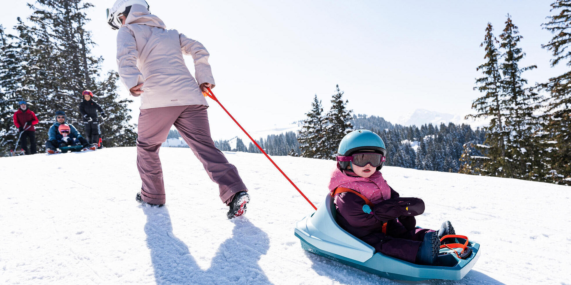 LUGE ADULTE PLATEAU - TRILUGIK VERTE WEDZE